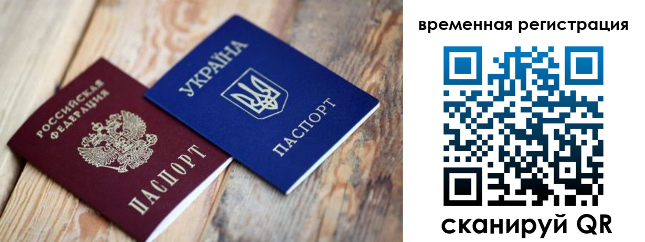 прописка 2025 в Оленегорске